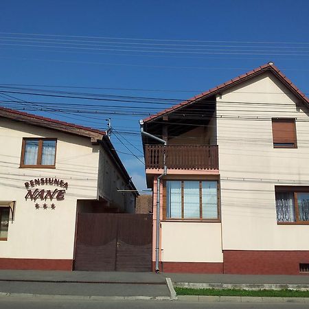 Pensiunea Nane Sibiu Dış mekan fotoğraf